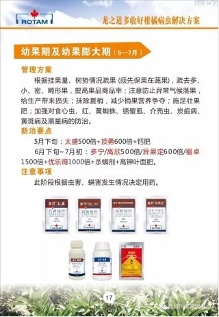 龍燈化學 深耕農業，以技術推廣服務為農賦能